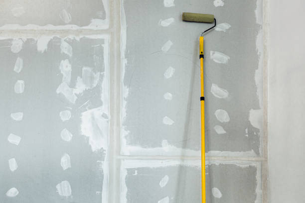 Best Mold-Related Health Consultation  in Eagle Grove, IA
