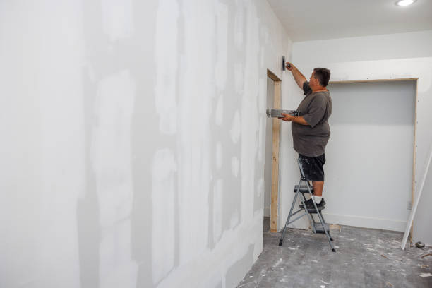Best Crawl Space Mold Remediation  in Eagle Grove, IA