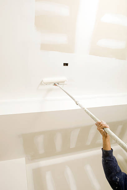 Reliable Eagle Grove, IA Mold Removal Solutions