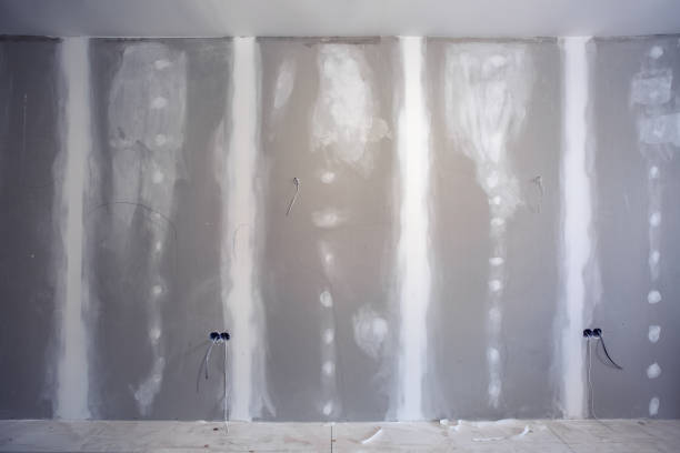 Best Mold-Related Health Consultation  in Eagle Grove, IA